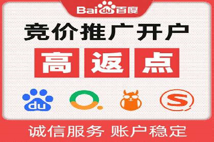 知名SEM服务公司成功案例分享
